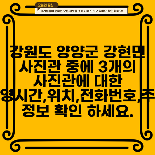강원도 양양군 강현면 사진관 중에 3개의 사진관에 대한 운영시간,위치,전화번호,주소 정보 확인 하세요.