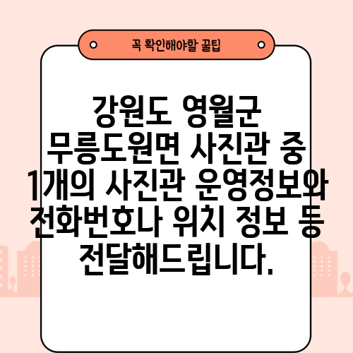 강원도 영월군 무릉도원면 사진관 중 1개의 사진관 운영정보와 전화번호나 위치 정보 등 전달해드립니다.