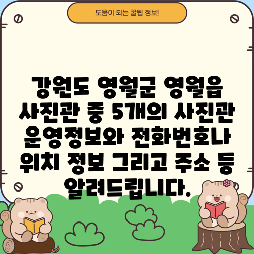 강원도 영월군 영월읍 사진관 중 5개의 사진관 운영정보와 전화번호나 위치 정보 그리고 주소 등 알려드립니다.