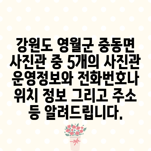 강원도 영월군 중동면 사진관 중 5개의 사진관 운영정보와 전화번호나 위치 정보 그리고 주소 등 알려드립니다.