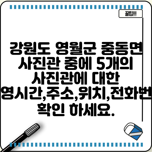 강원도 영월군 중동면 사진관 중에 5개의 사진관에 대한 운영시간,주소,위치,전화번호 확인 하세요.