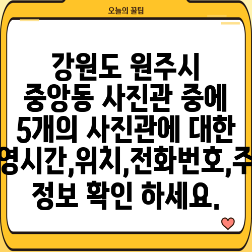 강원도 원주시 중앙동 사진관 중에 5개의 사진관에 대한 운영시간,위치,전화번호,주소 정보 확인 하세요.