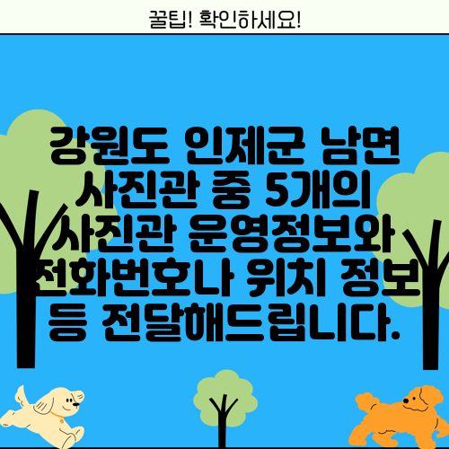 강원도 인제군 남면 사진관 중 5개의 사진관 운영정보와 전화번호나 위치 정보 등 전달해드립니다.