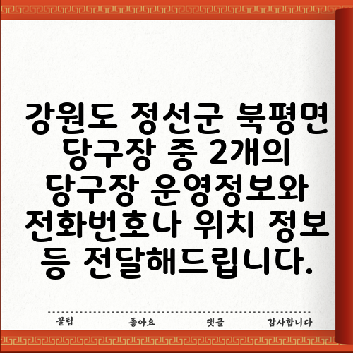 강원도 정선군 북평면 당구장 중 2개의 당구장 운영정보와 전화번호나 위치 정보 등 전달해드립니다.