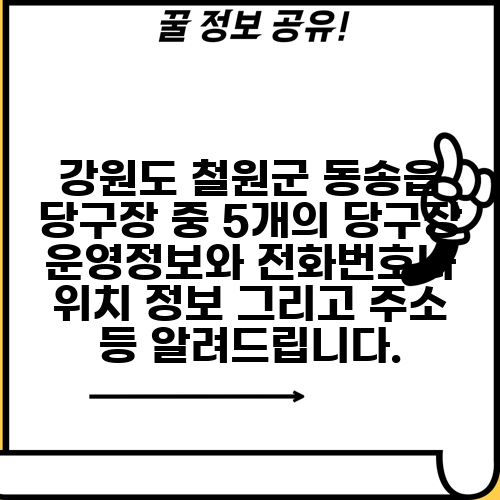 강원도 철원군 동송읍 당구장 중 5개의 당구장 운영정보와 전화번호나 위치 정보 그리고 주소 등 알려드립니다.