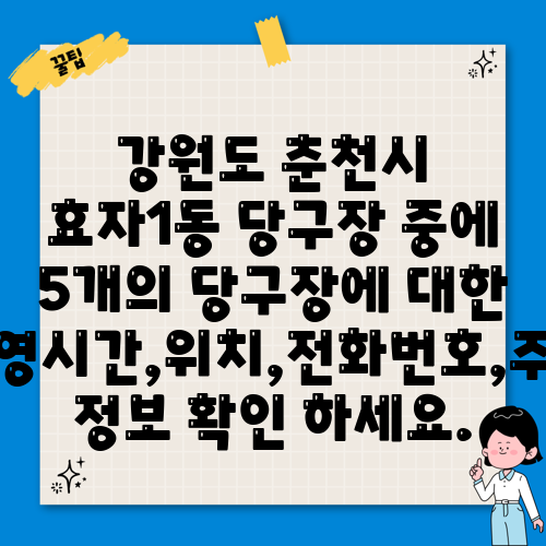강원도 춘천시 효자1동 당구장 중에 5개의 당구장에 대한 운영시간,위치,전화번호,주소 정보 확인 하세요.