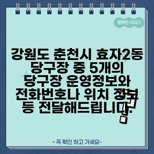 강원도 춘천시 효자2동 당구장 중 5개의 당구장 운영정보와 전화번호나 위치 정보 등 전달해드립니다.