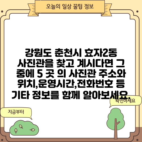 강원도 춘천시 효자2동 사진관을 찾고 계시다면 그 중에 5 곳 의 사진관 주소와 위치,운영시간,전화번호 등 기타 정보를 함께 알아보세요.