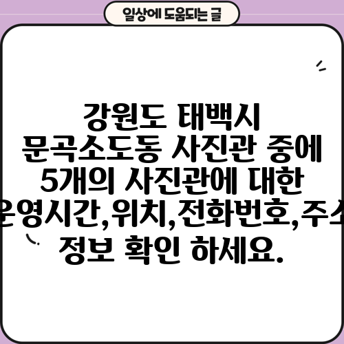 강원도 태백시 문곡소도동 사진관 중에 5개의 사진관에 대한 운영시간,위치,전화번호,주소 정보 확인 하세요.