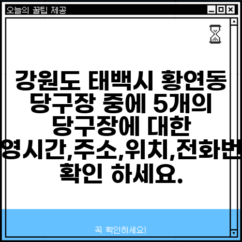 강원도 태백시 황연동 당구장 중에 5개의 당구장에 대한 운영시간,주소,위치,전화번호 확인 하세요.