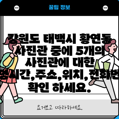강원도 태백시 황연동 사진관 중에 5개의 사진관에 대한 운영시간,주소,위치,전화번호 확인 하세요.