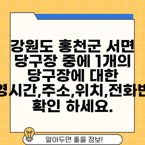 강원도 홍천군 서면 당구장 중에 1개의 당구장에 대한 운영시간,주소,위치,전화번호 확인 하세요.