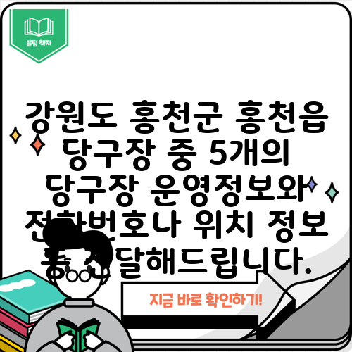 강원도 홍천군 홍천읍 당구장 중 5개의 당구장 운영정보와 전화번호나 위치 정보 등 전달해드립니다.