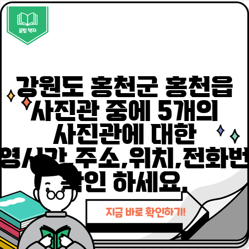 강원도 홍천군 홍천읍 사진관 중에 5개의 사진관에 대한 운영시간,주소,위치,전화번호 확인 하세요.