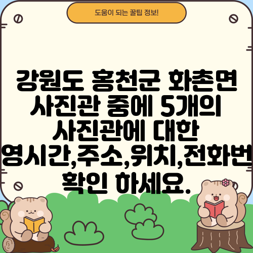 강원도 홍천군 화촌면 사진관 중에 5개의 사진관에 대한 운영시간,주소,위치,전화번호 확인 하세요.