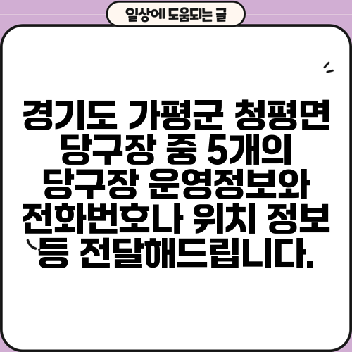 경기도 가평군 청평면 당구장 중 5개의 당구장 운영정보와 전화번호나 위치 정보 등 전달해드립니다.
