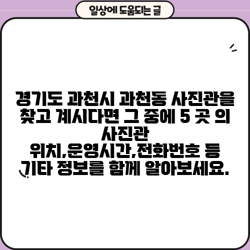 경기도 과천시 과천동 사진관을 찾고 계시다면 그 중에 5 곳 의 사진관 위치,운영시간,전화번호 등 기타 정보를 함께 알아보세요.