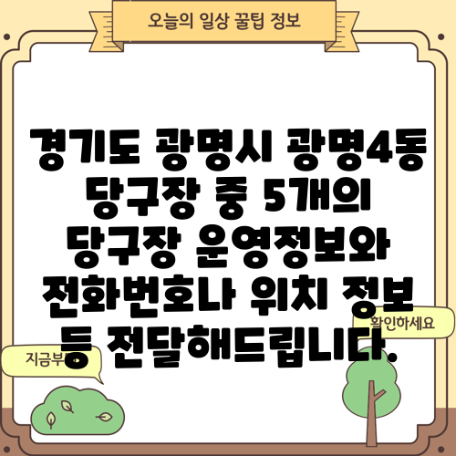 경기도 광명시 광명4동 당구장 중 5개의 당구장 운영정보와 전화번호나 위치 정보 등 전달해드립니다.