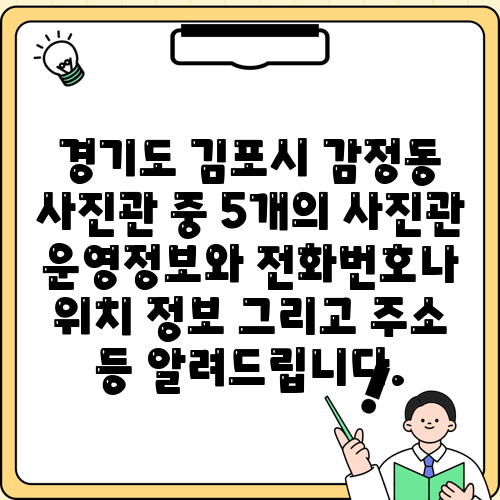 경기도 김포시 감정동 사진관 중 5개의 사진관 운영정보와 전화번호나 위치 정보 그리고 주소 등 알려드립니다.