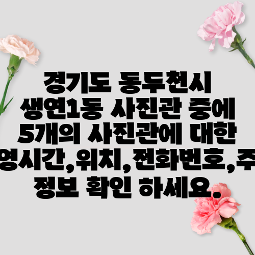 경기도 동두천시 생연1동 사진관 중에 5개의 사진관에 대한 운영시간,위치,전화번호,주소 정보 확인 하세요.