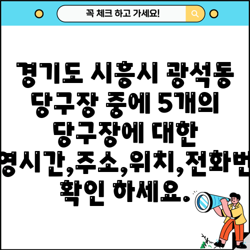 경기도 시흥시 광석동 당구장 중에 5개의 당구장에 대한 운영시간,주소,위치,전화번호 확인 하세요.