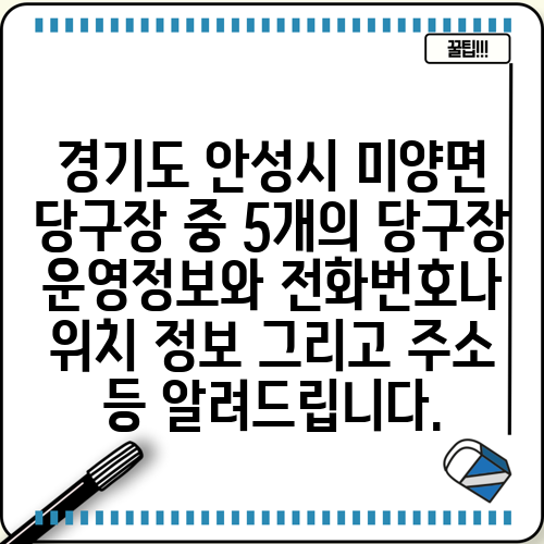 경기도 안성시 미양면 당구장 중 5개의 당구장 운영정보와 전화번호나 위치 정보 그리고 주소 등 알려드립니다.