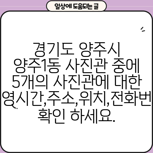경기도 양주시 양주1동 사진관 중에 5개의 사진관에 대한 운영시간,주소,위치,전화번호 확인 하세요.