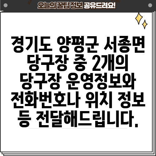 경기도 양평군 서종면 당구장 중 2개의 당구장 운영정보와 전화번호나 위치 정보 등 전달해드립니다.