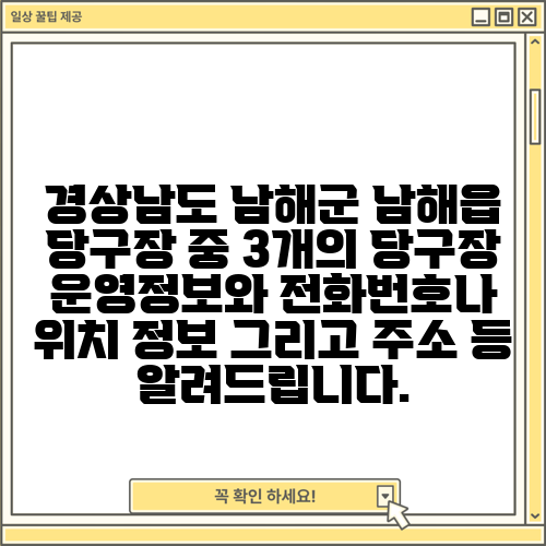 경상남도 남해군 남해읍 당구장 중 3개의 당구장 운영정보와 전화번호나 위치 정보 그리고 주소 등 알려드립니다.