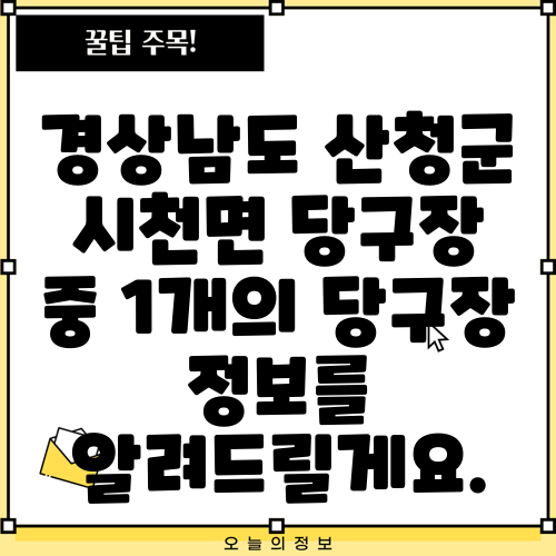 경상남도 산청군 시천면 당구장 중 1개의 당구장 정보를 알려드릴게요.