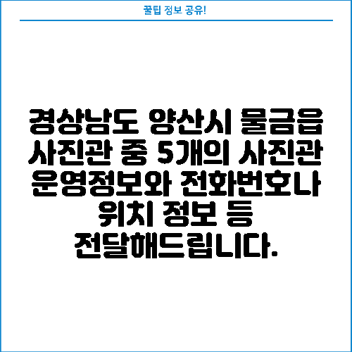 경상남도 양산시 물금읍 사진관 중 5개의 사진관 운영정보와 전화번호나 위치 정보 등 전달해드립니다.