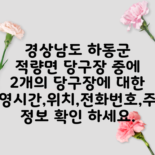 경상남도 하동군 적량면 당구장 중에 2개의 당구장에 대한 운영시간,위치,전화번호,주소 정보 확인 하세요.