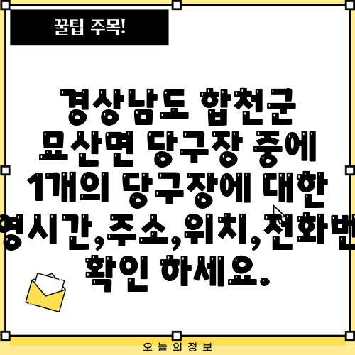 경상남도 합천군 묘산면 당구장 중에 1개의 당구장에 대한 운영시간,주소,위치,전화번호 확인 하세요.