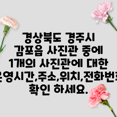 경상북도 경주시 감포읍 사진관 중에 1개의 사진관에 대한 운영시간,주소,위치,전화번호 확인 하세요.