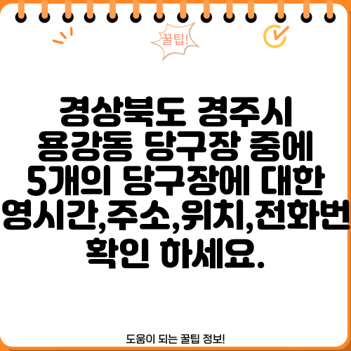 경상북도 경주시 용강동 당구장 중에 5개의 당구장에 대한 운영시간,주소,위치,전화번호 확인 하세요.