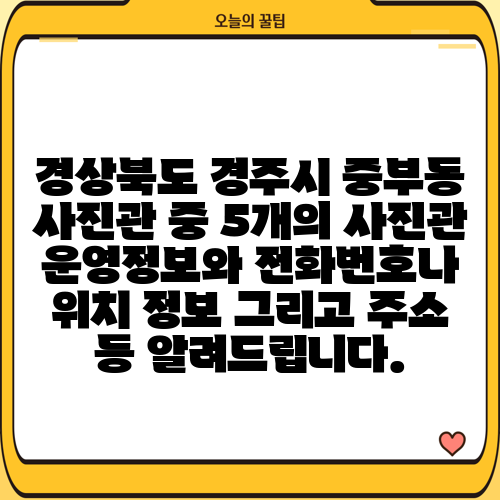경상북도 경주시 중부동 사진관 중 5개의 사진관 운영정보와 전화번호나 위치 정보 그리고 주소 등 알려드립니다.