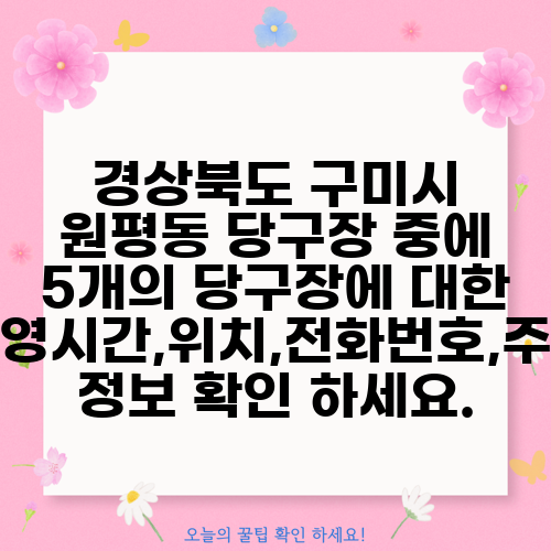 경상북도 구미시 원평동 당구장 중에 5개의 당구장에 대한 운영시간,위치,전화번호,주소 정보 확인 하세요.