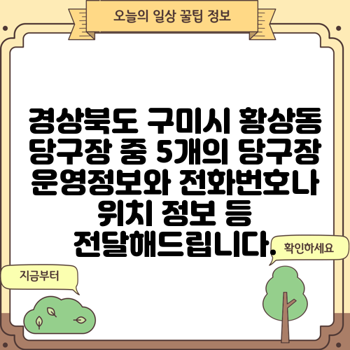 경상북도 구미시 황상동 당구장 중 5개의 당구장 운영정보와 전화번호나 위치 정보 등 전달해드립니다.