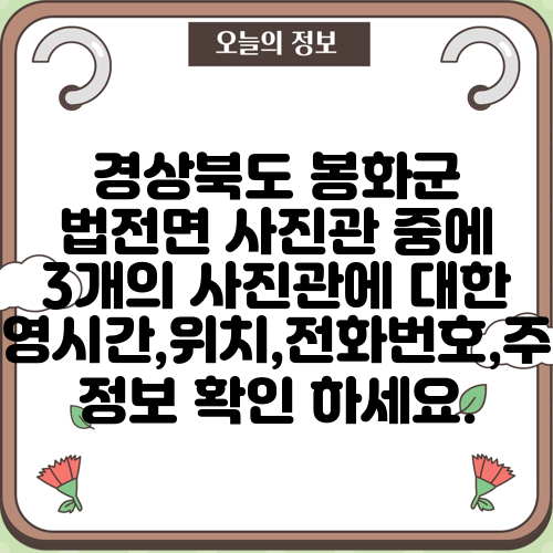 경상북도 봉화군 법전면 사진관 중에 3개의 사진관에 대한 운영시간,위치,전화번호,주소 정보 확인 하세요.