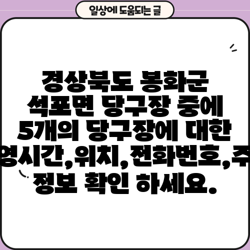 경상북도 봉화군 석포면 당구장 중에 5개의 당구장에 대한 운영시간,위치,전화번호,주소 정보 확인 하세요.