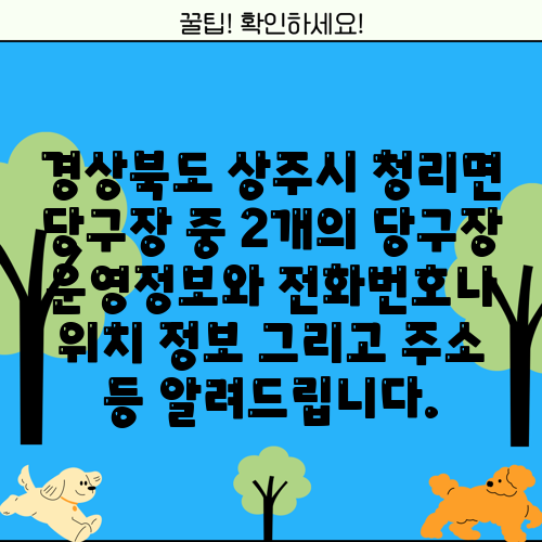 경상북도 상주시 청리면 당구장 중 2개의 당구장 운영정보와 전화번호나 위치 정보 그리고 주소 등 알려드립니다.