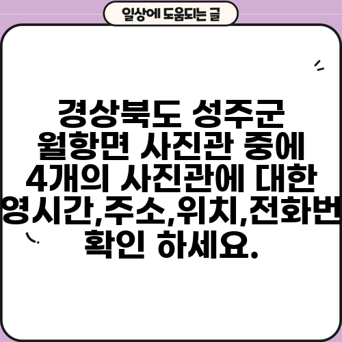 경상북도 성주군 월항면 사진관 중에 4개의 사진관에 대한 운영시간,주소,위치,전화번호 확인 하세요.