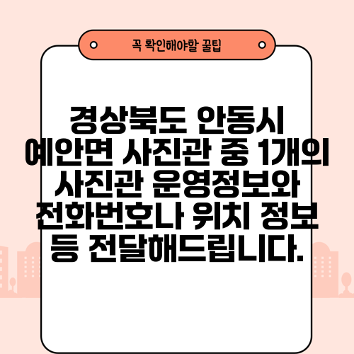 경상북도 안동시 예안면 사진관 중 1개의 사진관 운영정보와 전화번호나 위치 정보 등 전달해드립니다.