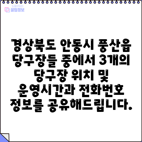 경상북도 안동시 풍산읍 당구장들 중에서 3개의 당구장 위치 및 운영시간과 전화번호 정보를 공유해드립니다.
