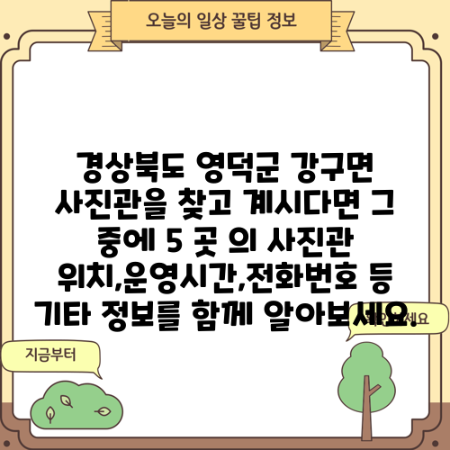 경상북도 영덕군 강구면 사진관을 찾고 계시다면 그 중에 5 곳 의 사진관 위치,운영시간,전화번호 등 기타 정보를 함께 알아보세요.