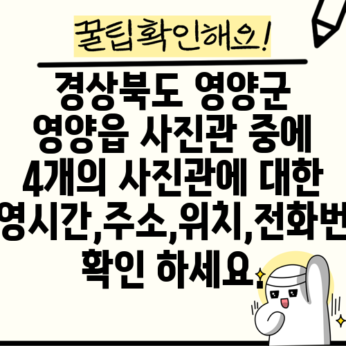 경상북도 영양군 영양읍 사진관 중에 4개의 사진관에 대한 운영시간,주소,위치,전화번호 확인 하세요.
