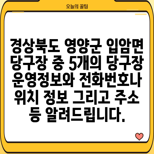 경상북도 영양군 입암면 당구장 중 5개의 당구장 운영정보와 전화번호나 위치 정보 그리고 주소 등 알려드립니다.