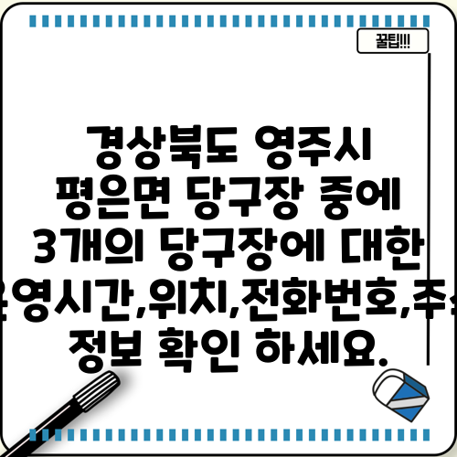 경상북도 영주시 평은면 당구장 중에 3개의 당구장에 대한 운영시간,위치,전화번호,주소 정보 확인 하세요.