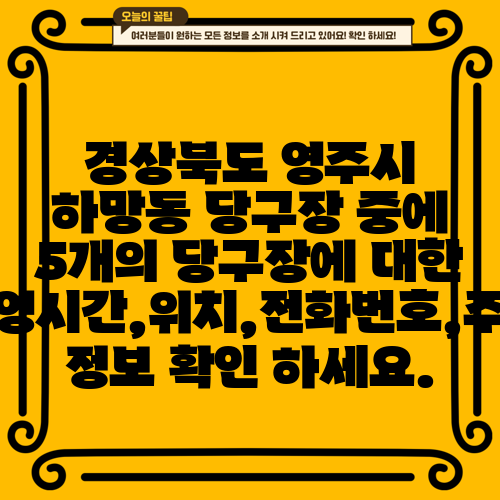 경상북도 영주시 하망동 당구장 중에 5개의 당구장에 대한 운영시간,위치,전화번호,주소 정보 확인 하세요.