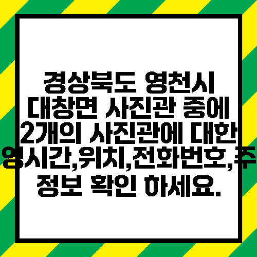 경상북도 영천시 대창면 사진관 중에 2개의 사진관에 대한 운영시간,위치,전화번호,주소 정보 확인 하세요.